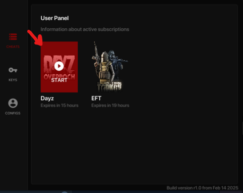 Запуск продукта DayZ